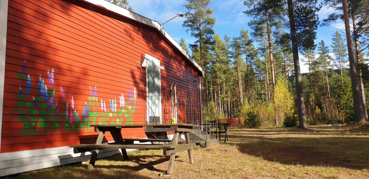 Hostel And Vandrarhem Lupin Naturcamping Lagom Gräsmark Exterior foto